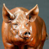 Tamworth Pig (Crane Glen III) by Kelly John