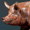Tamworth Pig (Crane Glen III) by Kelly John