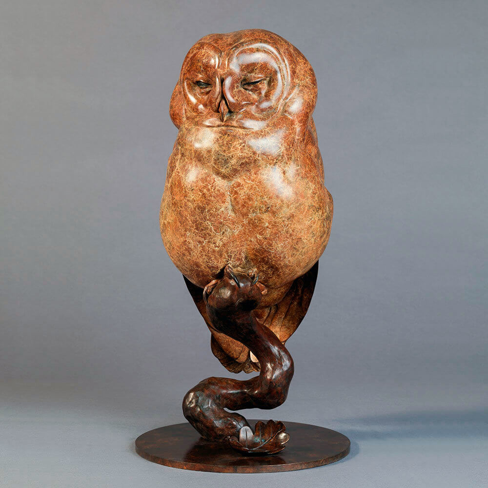 Tawny Owl by Kelly John