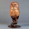 Tawny Owl by Kelly John