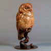 Tawny Owl by Kelly John
