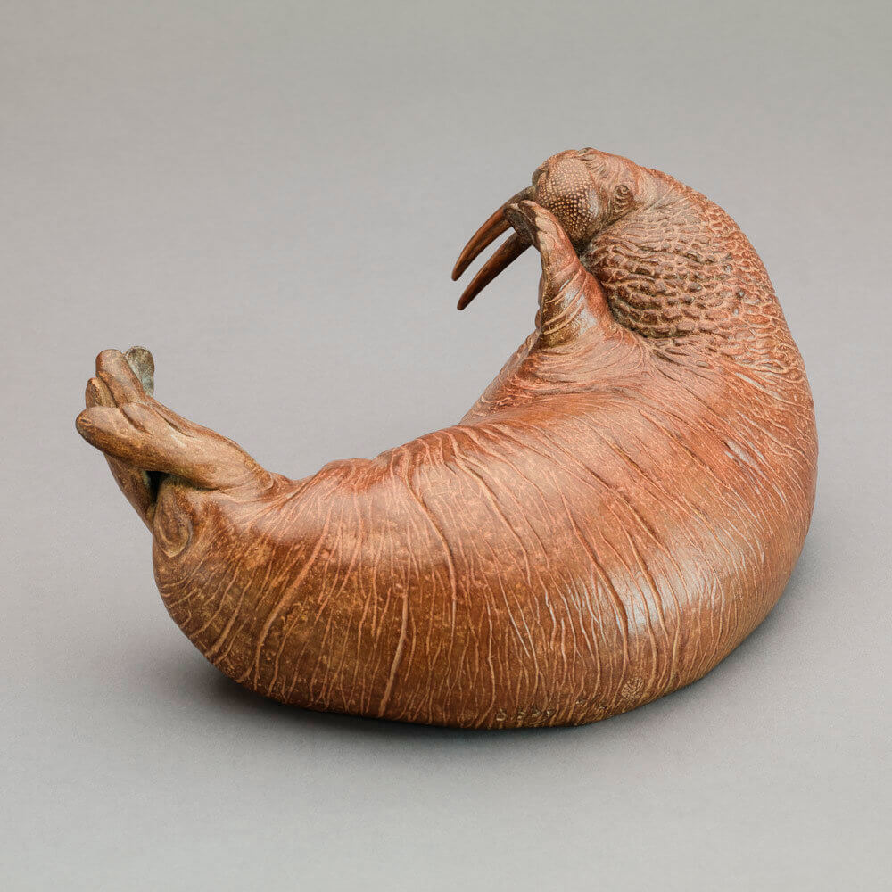 Walrus by Kelly John