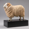 Whiteface Dartmoor Sheep (William) by Kelly John