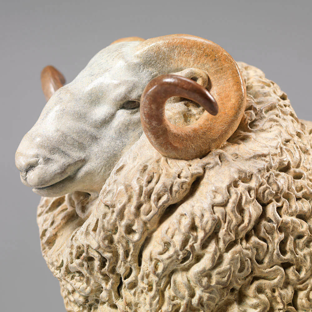 Whiteface Dartmoor Sheep (William) by Kelly John