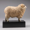 Whiteface Dartmoor Sheep (William) by Kelly John