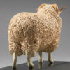 Whiteface Dartmoor Sheep (William) by Kelly John