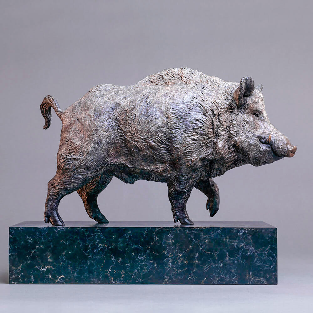 Wild Boar by Kelly John