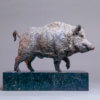 Wild Boar by Kelly John