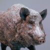 Wild Boar by Kelly John