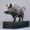 Wild Boar by Kelly John