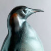 Emperor Penguin by Kelly John
