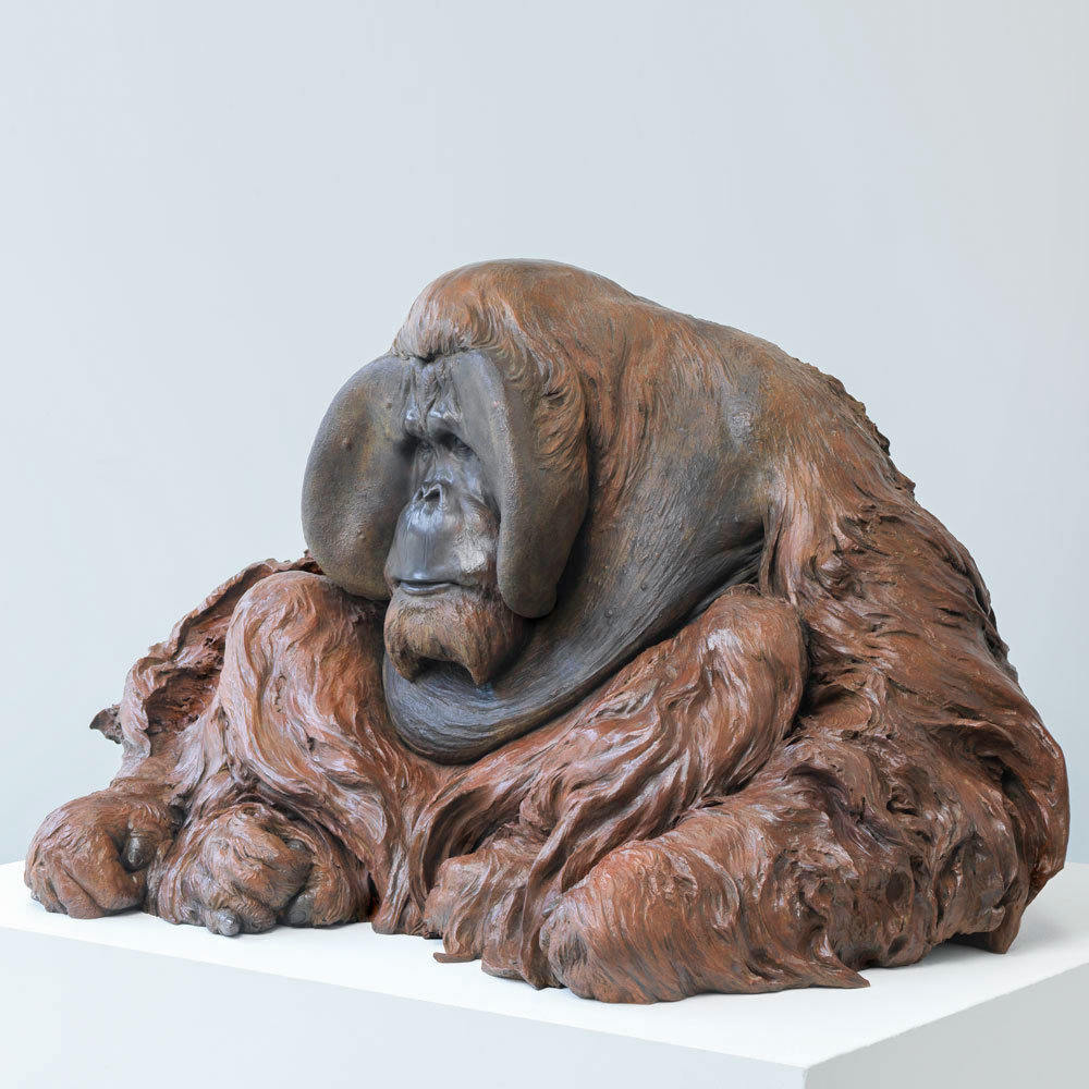 Life Size Sumatran Orangutan by Kelly John