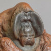 Sumatran Orangutan (Miniature) by Kelly John