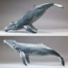 Humpback Whale by Kelly John