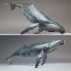 Humpback Whale by Kelly John