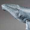 Humpback Whale by Kelly John