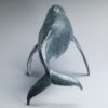 Humpback Whale by Kelly John