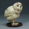 BARN OWL CHICK by Kelly John