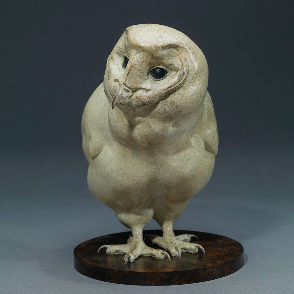BARN OWL CHICK by Kelly John