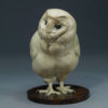 BARN OWL CHICK by Kelly John