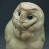 BARN OWL CHICK by Kelly John