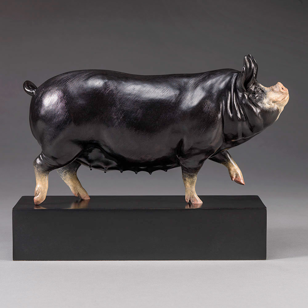 Berkshire Pig (Dittisham Lady 22) by Kelly John
