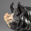 Berkshire Pig (Dittisham Lady 22) by Kelly John