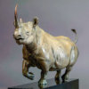 Black Rhino by Kelly John