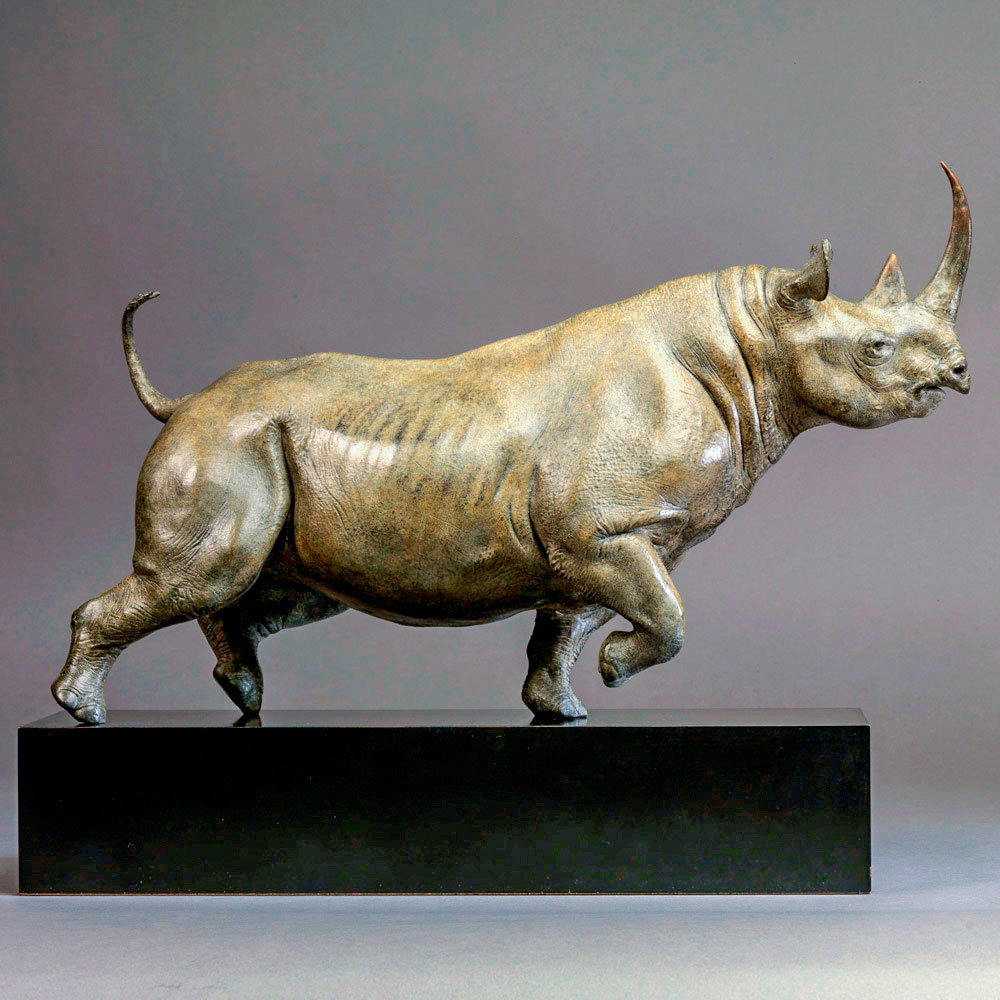 Black Rhino by Kelly John