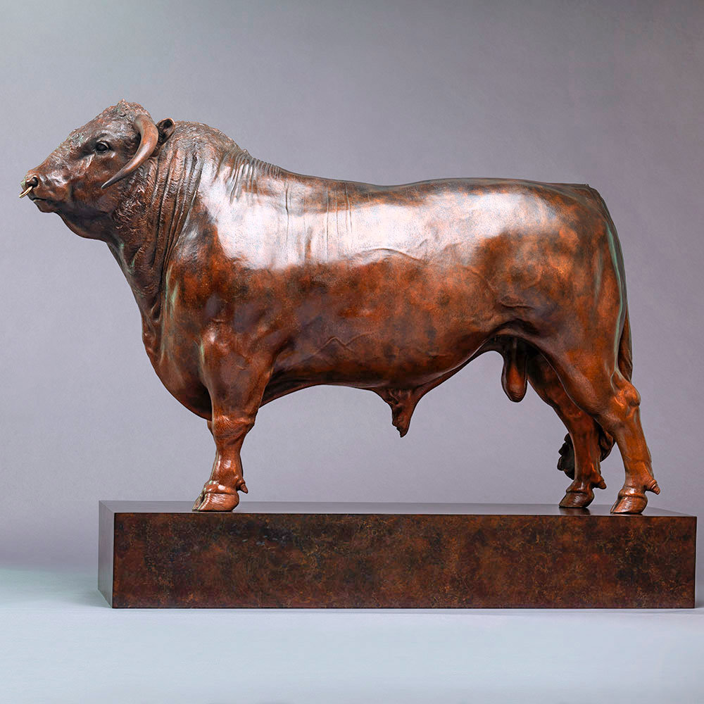 British Longhorn Bull (Blackbrook Philosopher - 40") by Kelly John