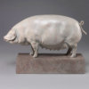 British Lop Pig (Liskeard Sunshine 500) by Kelly John