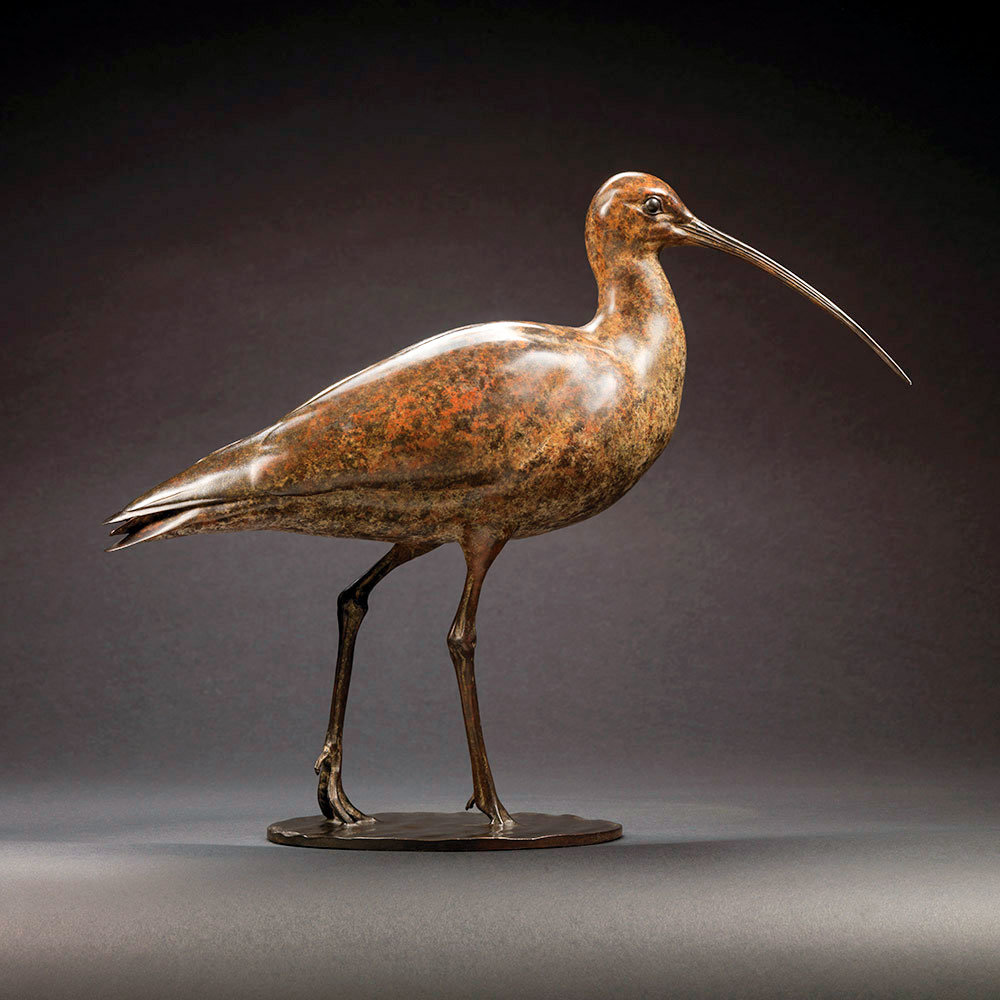 Curlew by Kelly John