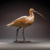Curlew by Kelly John