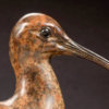 Curlew by Kelly John