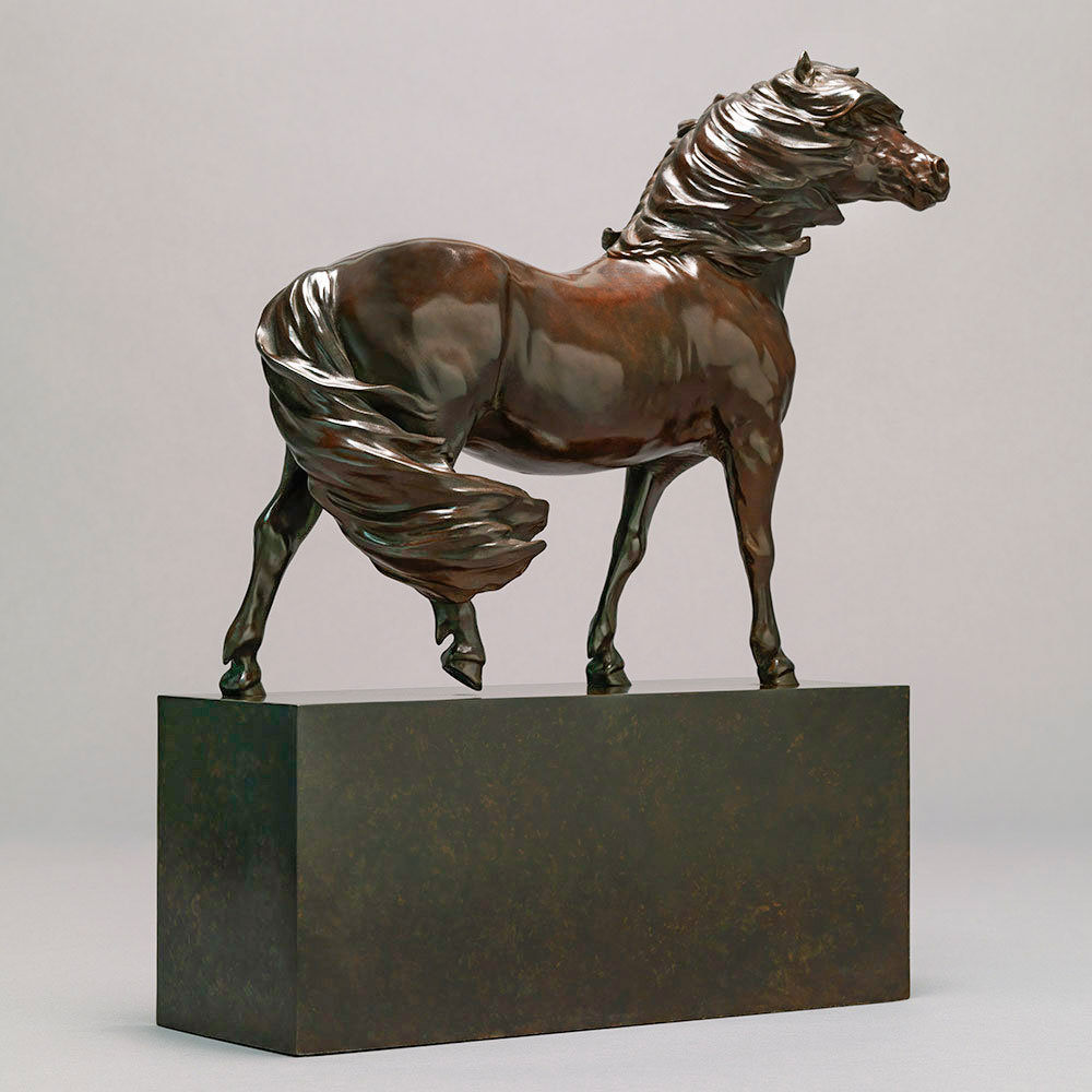 Dartmoor Pony (Moortown Countryman) by Kelly John