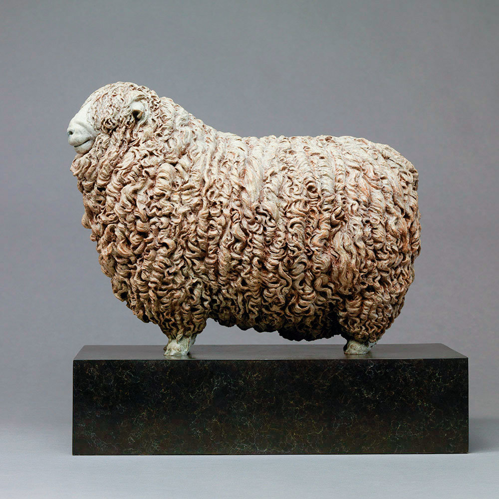 Devon and Cornwall Longwool Sheep (ED) by Kelly John