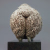 Devon and Cornwall Longwool Sheep (ED) by Kelly John