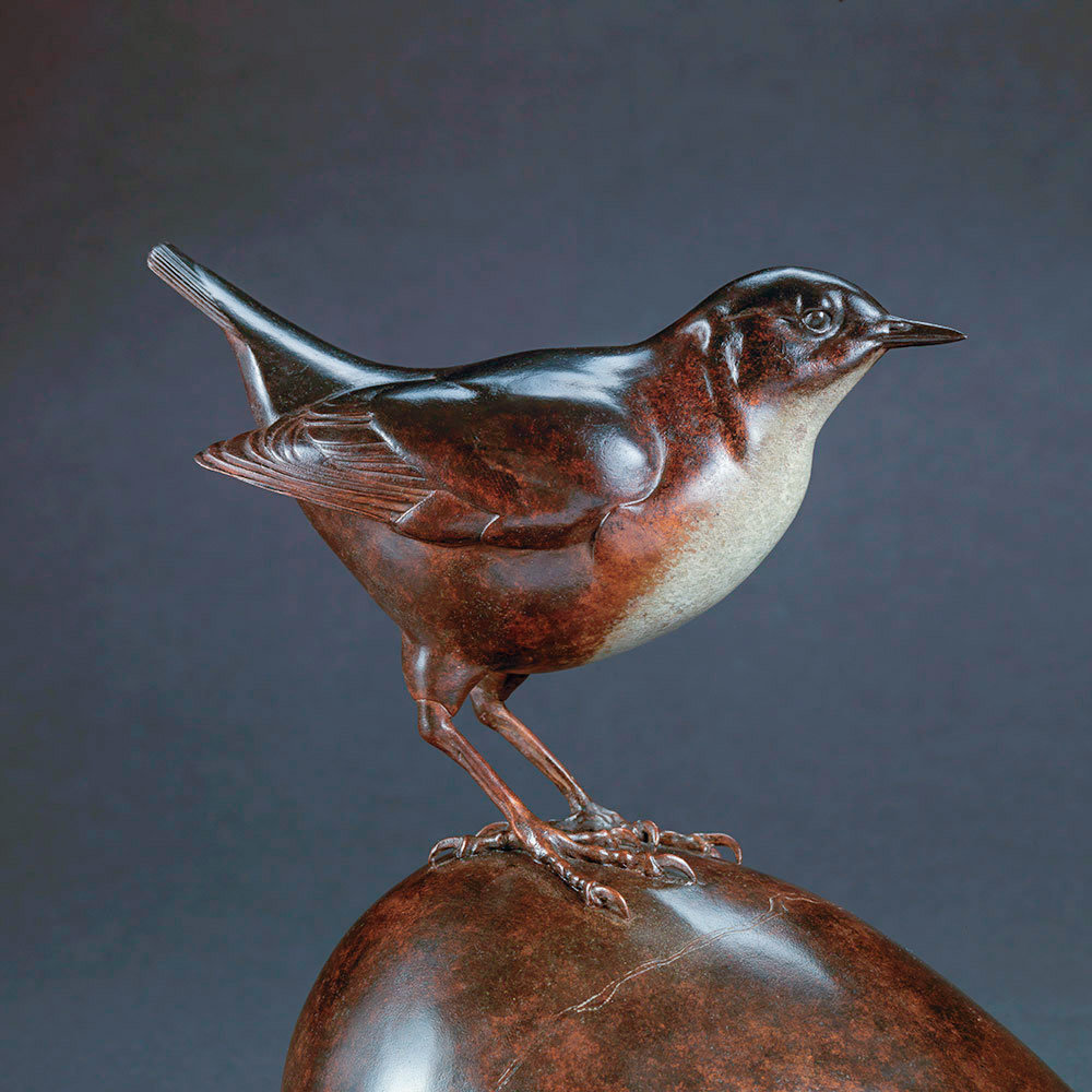 Dipper by Kelly John