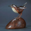 Dipper by Kelly John