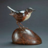 Dipper by Kelly John