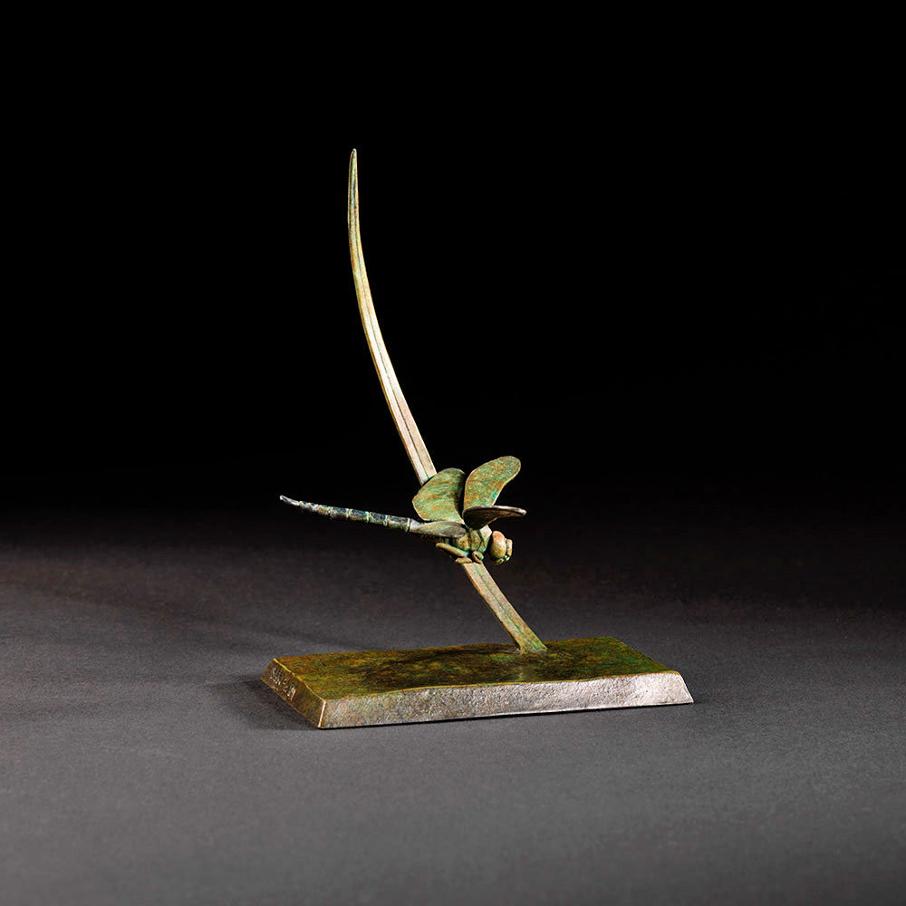 Dragonfly by Kelly John