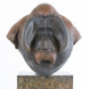 Orangutan Bust "Old Man of the Woods" by Kelly John