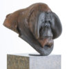 Orangutan Bust "Old Man of the Woods" by Kelly John