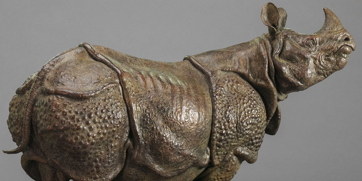 Link To Indian Rhino (30″)
