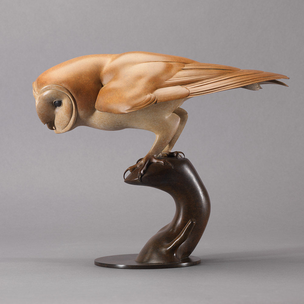 Barn Owl by Kelly John