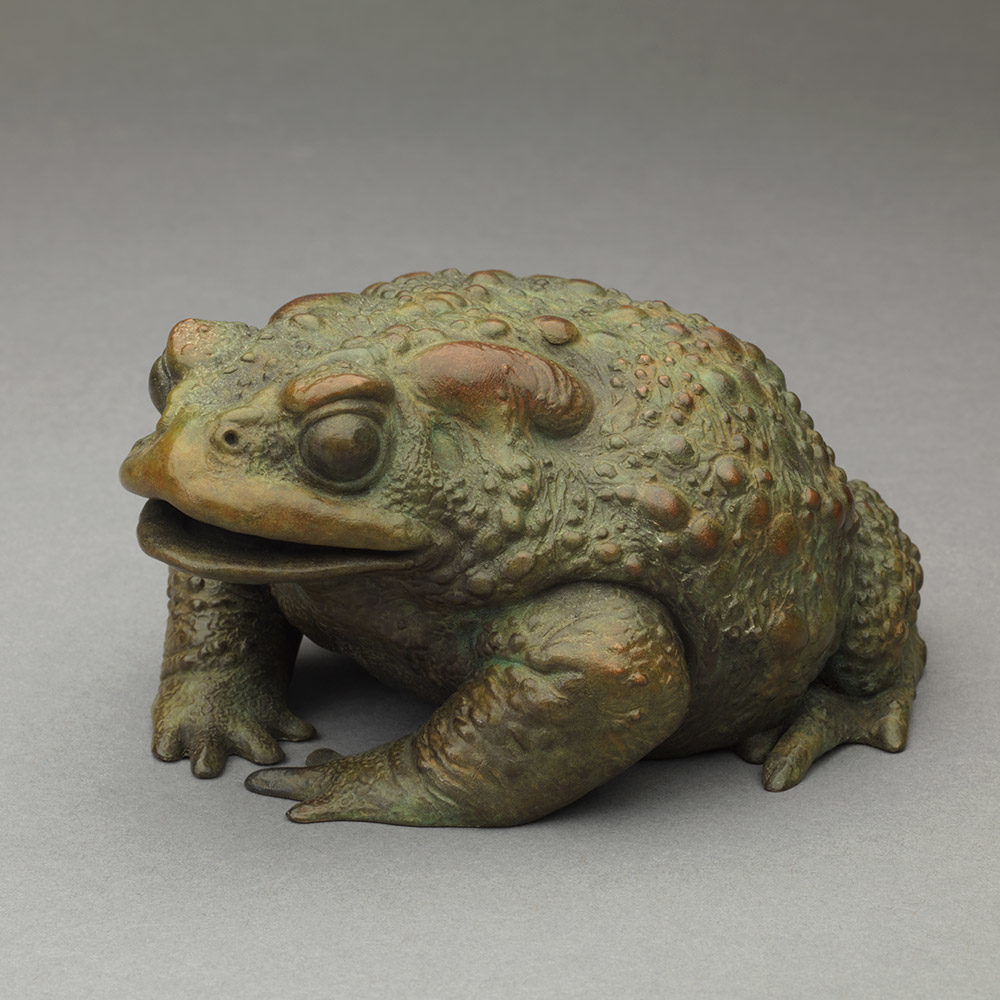 Lucky Toad by Kelly John