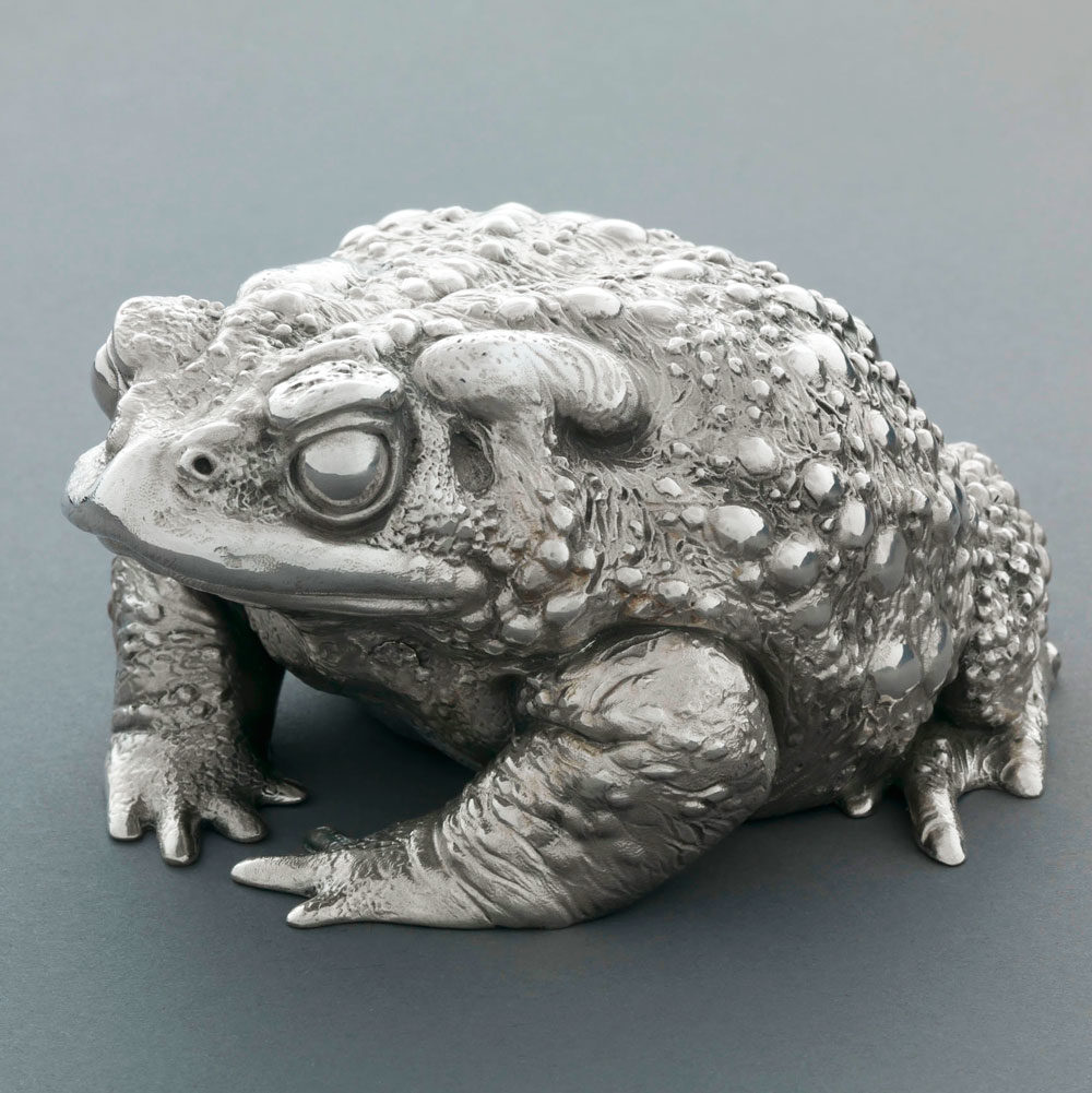 Toad II (Silver) by Kelly John